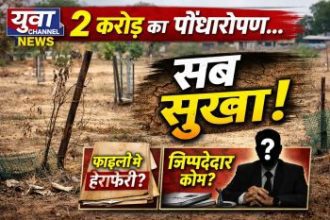 “मनरेगा बना मनी गेम-हरियाली के नाम पर बड़ा खेल ! पाटन में ट्री गार्ड खा गया सिस्टम या सिस्टम खा गया पैसा ? करोड़ों खर्च के बाद न पौधे बचे न जवाबदेही… “मनरेगा बना मनी गेम-हरियाली के नाम पर बड़ा खेल ! पाटन में ट्री गार्ड खा गया सिस्टम या सिस्टम खा गया पैसा ? करोड़ों खर्च के बाद न पौधे बचे न जवाबदेही…
