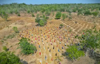 बालोद में पर्यावरण संरक्षण की अनोखी पहल: 3 हजार ट्रेंच में सीड बॉल से बीजारोपण, जल संरक्षण और हरियाली का बनेगा नया मॉडल बालोद में पर्यावरण संरक्षण की अनोखी पहल: 3 हजार ट्रेंच में सीड बॉल से बीजारोपण, जल संरक्षण और हरियाली का बनेगा नया मॉडल