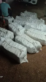 CG BIG BREAKING: NH-30 पर पुलिस का बड़ा एक्शन, 400 किलो से ज्यादा गांजा जब्त, 5 तस्कर गिरफ्तार CG BIG BREAKING: NH-30 पर पुलिस का बड़ा एक्शन, 400 किलो से ज्यादा गांजा जब्त, 5 तस्कर गिरफ्तार