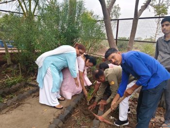 जामगांव आर महाविद्यालय में औषधीय पौधों का रोपण, इको क्लब ने दिया पर्यावरण संरक्षण का संदेश जामगांव आर महाविद्यालय में औषधीय पौधों का रोपण, इको क्लब ने दिया पर्यावरण संरक्षण का संदेश