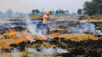 पराली जलाना पड़ा महंगा ! लिगेसी वेस्ट में लगी आग पर 5 किसानों पर जुर्माना, प्रशासन ने ठोका पर्यावरणीय अर्थदण्ड पराली जलाना पड़ा महंगा ! लिगेसी वेस्ट में लगी आग पर 5 किसानों पर जुर्माना, प्रशासन ने ठोका पर्यावरणीय अर्थदण्ड