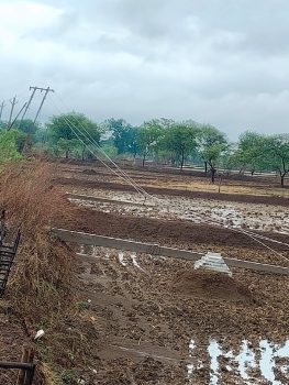 खबर का असर : ब्लैकआउट से राहत,3 गांवों में बहाल हुई बिजली,जंपर जोड़कर पेयजल संकट से मिली राहत लेकिन 11 केवी लाइन के 5 गिरे पोल अब भी नहीं हुए दुरुस्त खबर का असर : ब्लैकआउट से राहत,3 गांवों में बहाल हुई बिजली,जंपर जोड़कर पेयजल संकट से मिली राहत लेकिन 11 केवी लाइन के 5 गिरे पोल अब भी नहीं हुए दुरुस्त