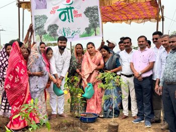 बटरेल में 4 हजार पौधों का वृहद पौधारोपण, जिला पंचायत सभापति कल्पना साहू और वन विभाग सभापति प्रणव शर्मा ने किया शुभारंभ बटरेल में 4 हजार पौधों का वृहद पौधारोपण, जिला पंचायत सभापति कल्पना साहू और वन विभाग सभापति प्रणव शर्मा ने किया शुभारंभ