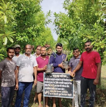 हरेली पर बेल्हारी में धरती का हरित श्रृंगार, रुद्राक्ष वाटिका में वनस्पति पूजन कर युवाओं ने किया पौधरोपण; लघु पंचवटी बनाने का संकल्प हरेली पर बेल्हारी में धरती का हरित श्रृंगार, रुद्राक्ष वाटिका में वनस्पति पूजन कर युवाओं ने किया पौधरोपण; लघु पंचवटी बनाने का संकल्प