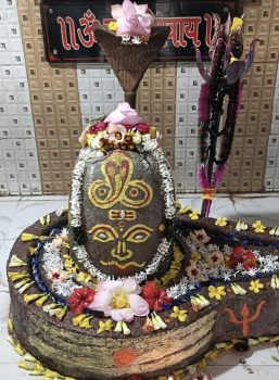 नागपंचमी पर कुम्हलेश्वर महादेव का विशेष श्रृंगार, दक्षिण पाटन के ग्राम कुम्हली में दर्शन के लिए उमड़ रहे शिवभक्त नागपंचमी पर कुम्हलेश्वर महादेव का विशेष श्रृंगार, दक्षिण पाटन के ग्राम कुम्हली में दर्शन के लिए उमड़ रहे शिवभक्त