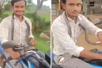 सांप ने काटा, फिर भी नहीं डरा युवक; सांप को गले में डाल 14 KM बाइक चलाकर पहुंचा अस्पताल सांप ने काटा, फिर भी नहीं डरा युवक; सांप को गले में डाल 14 KM बाइक चलाकर पहुंचा अस्पताल