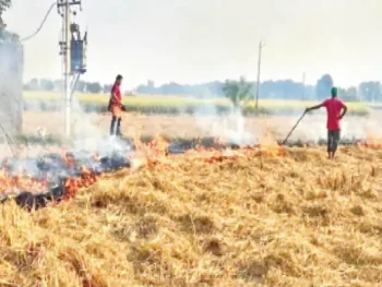 छत्तीसगढ़ में कम्प्रेस्ड बायोगैस नीति-2026 लागू; पैरा, गोबर और घरेलू जैविक कचरे से हरित ईंधन बनाने की तैयारी-कचरे से बनेगी ग्रीन गैस, किसानों को मिलेगी नई कमाई छत्तीसगढ़ में कम्प्रेस्ड बायोगैस नीति-2026 लागू; पैरा, गोबर और घरेलू जैविक कचरे से हरित ईंधन बनाने की तैयारी-कचरे से बनेगी ग्रीन गैस, किसानों को मिलेगी नई कमाई