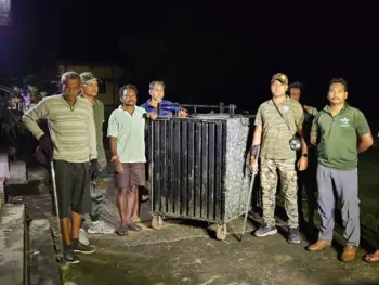 होटल में भजिया खाकर तेल पी जाता था भालू, 59 दिन बाद रेस्क्यू: गुड़-नारियल के लालच में पिंजरे में फंसा; घायल पैर का जंगल सफारी में होगा इलाज होटल में भजिया खाकर तेल पी जाता था भालू, 59 दिन बाद रेस्क्यू: गुड़-नारियल के लालच में पिंजरे में फंसा; घायल पैर का जंगल सफारी में होगा इलाज