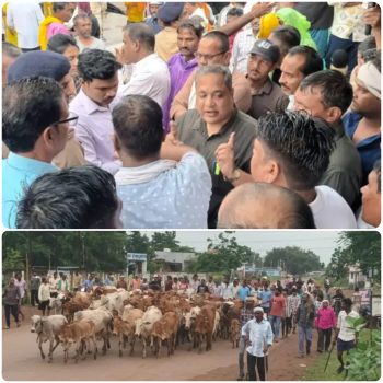 “आवारा मवेशियों को लेकर पाटन में गरमाया माहौल ! फसल बचाने किसानों का तहसील कूच, तेलीगुंडरा में दो पक्ष आमने-सामने”प्रशासन ने रोका “आवारा मवेशियों को लेकर पाटन में गरमाया माहौल ! फसल बचाने किसानों का तहसील कूच, तेलीगुंडरा में दो पक्ष आमने-सामने”प्रशासन ने रोका